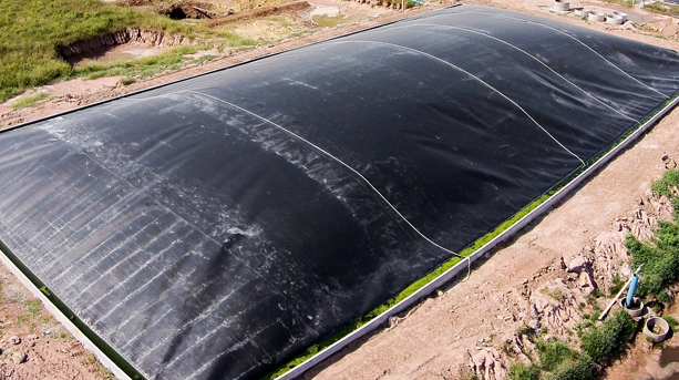 A large, rectangular black biogas digester covered with a plastic membrane is situated outdoors on a dirt area, surrounded by grass and soil.
